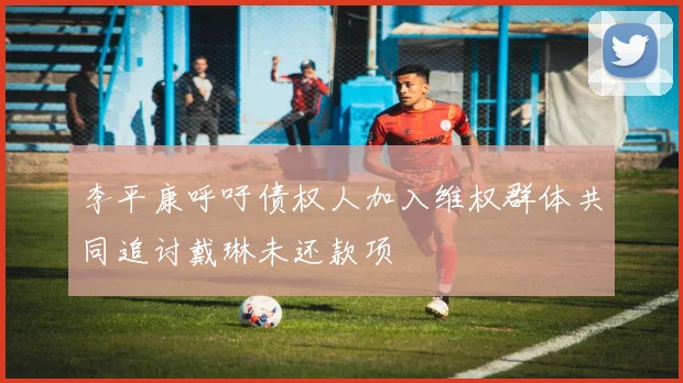 李平康呼吁债权人加入维权群体共同追讨戴琳未还款项