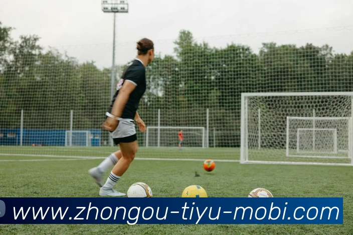 中欧体育平台生态图