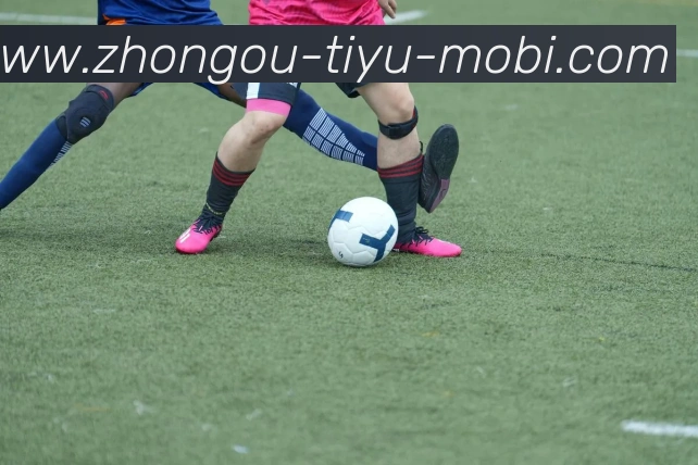 中欧体育全站App